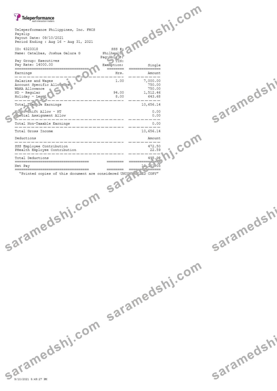 Teleperformance Philippines payslip template in Word and PDF formats.pdf, 1